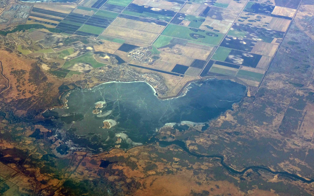 Artículo de Prueba 02